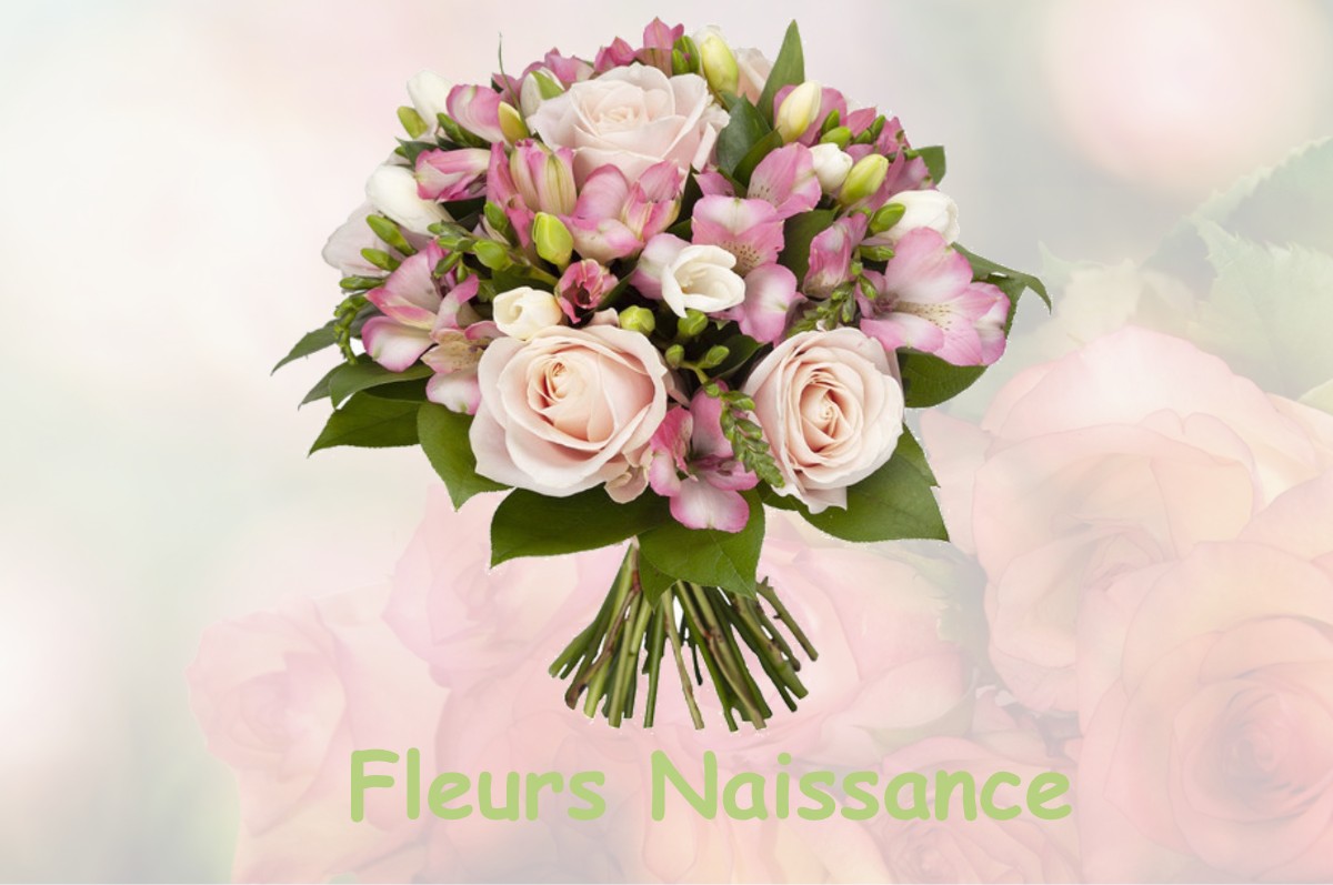 fleurs naissance BOYNES