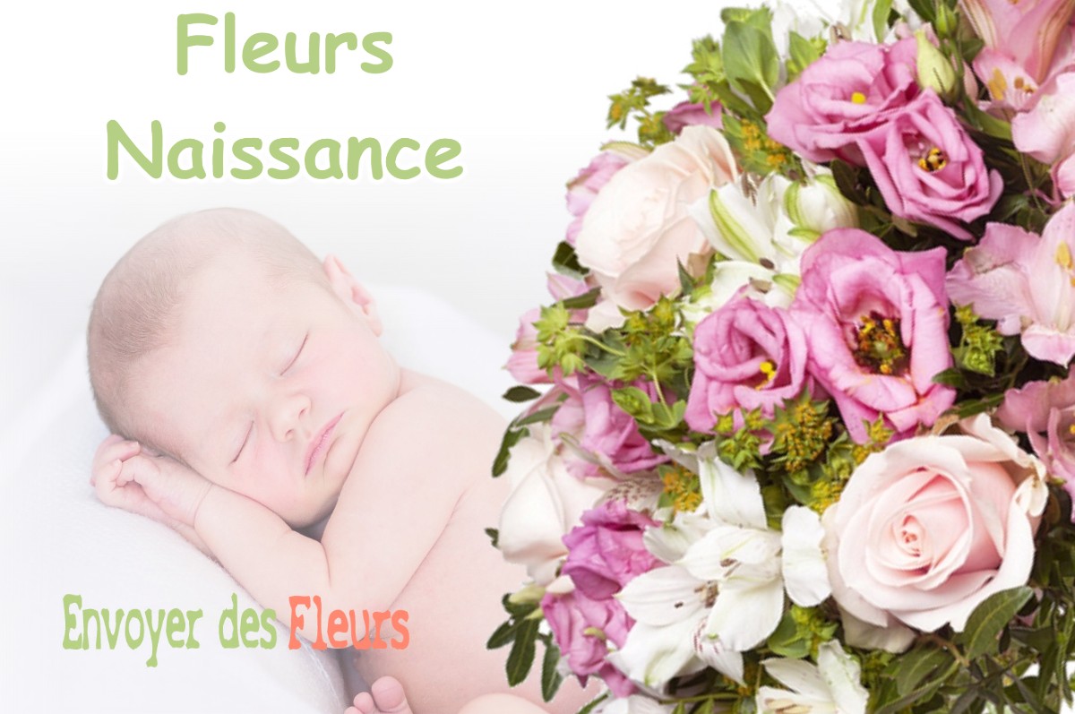 lIVRAISON FLEURS NAISSANCE à BOYNES